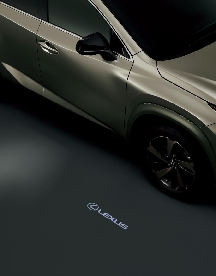 Детали экстерьера Lexus NX300 Bronze Edition 2020 года  (JP) (фото 2 из 12)